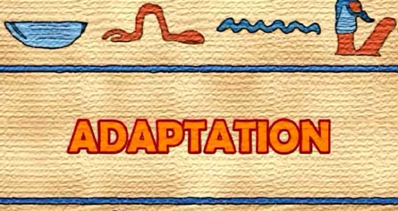 Adaptation