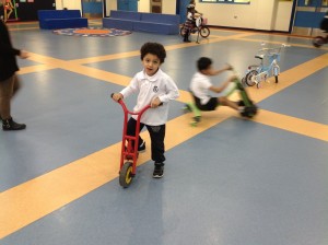 IMG 1232